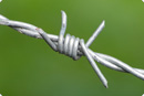 Barbed wire – Barbed wire was designed to be a fence for pastures.
